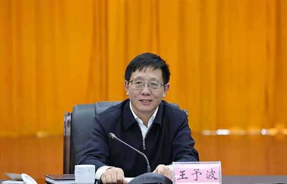 代省长王予波赴玉溪市调研4-585.jpg