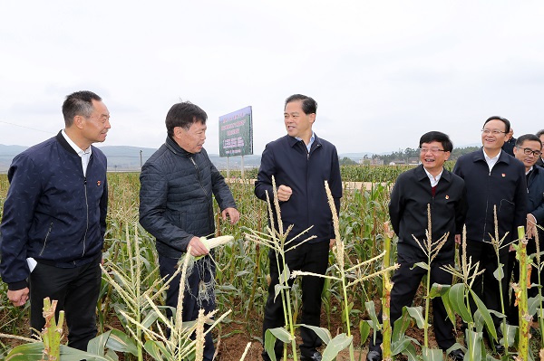 陈豪率队在楚雄州调研1.JPG