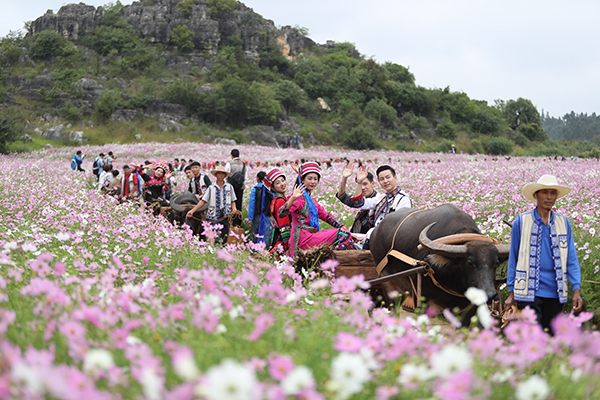 石林景区 600.jpg 石林景区 600.jpg