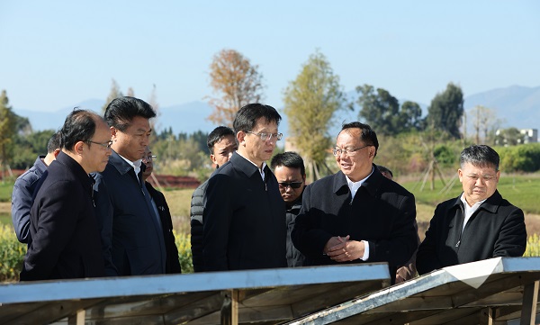 代省长王予波赴玉溪市调研1.JPG