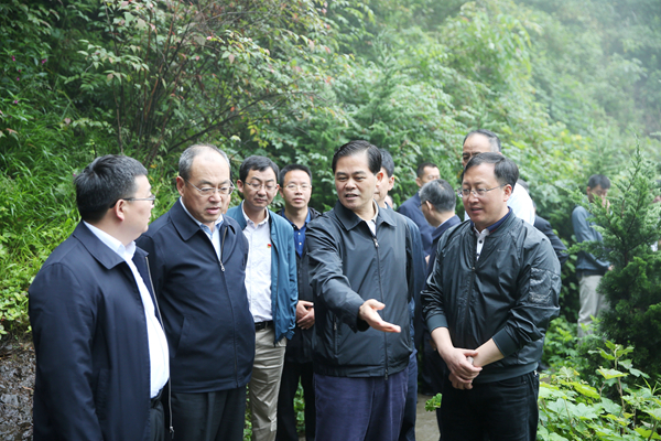 督查2.jpg 督查2.jpg