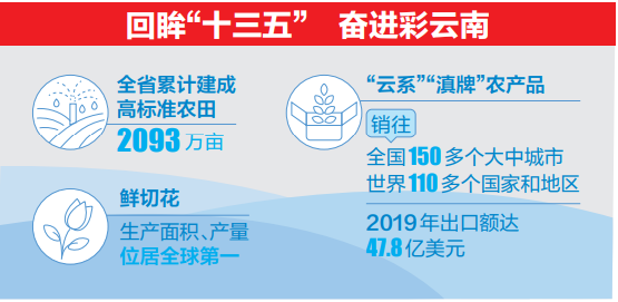 高原特色农业.png 高原特色农业.png